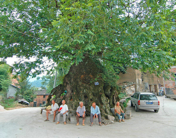 �Ř��ճ����o