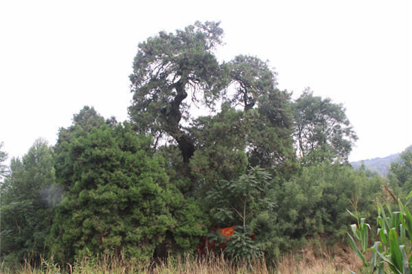 ��۰ر��o���Թ��̌��}��һ��