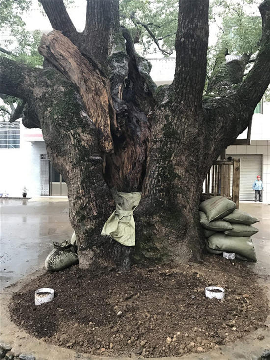 �����������͉�